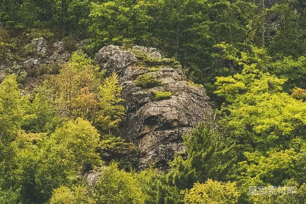 高清摄影 岩石山上白天的绿树