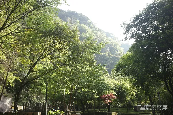 高清摄影 背景有一座山的绿树葱葱。