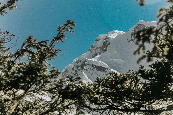 高清摄影 透过一些树丛看去的一座被雪覆盖的山峦