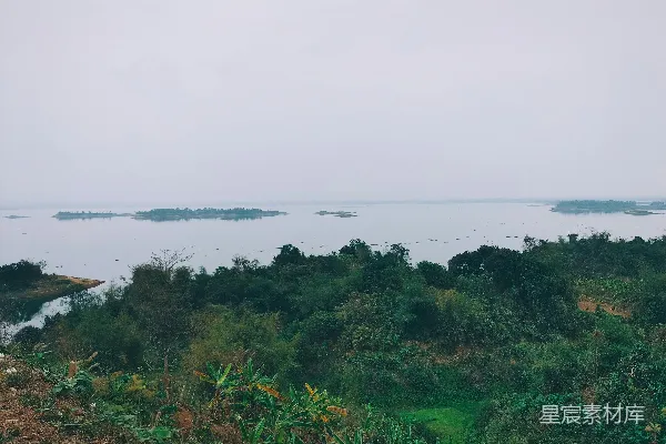 高清摄影 一片被树木环绕的大片水域