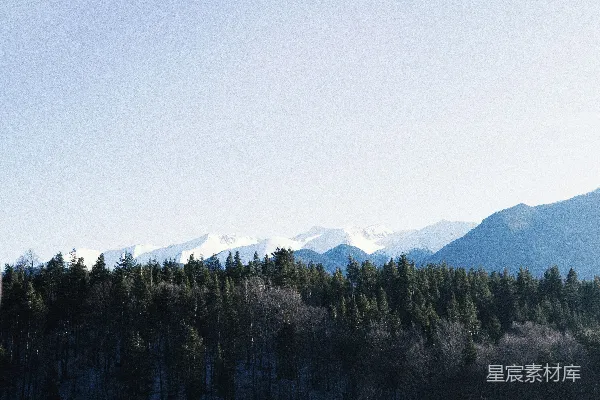 高清摄影 前景中有树木的山脉景色