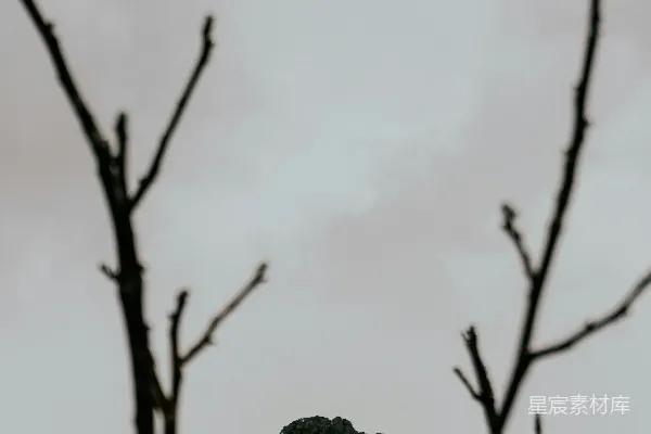 高清摄影 一张黑白照片中的山峰