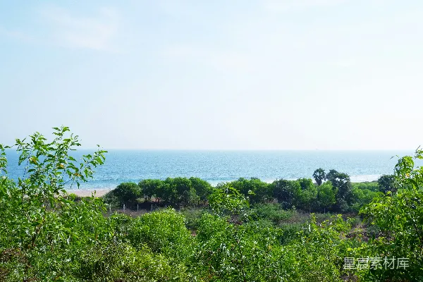 高清摄影 森林中的海景