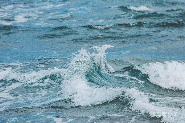 高清摄影 一只鸟坐在海浪上。
