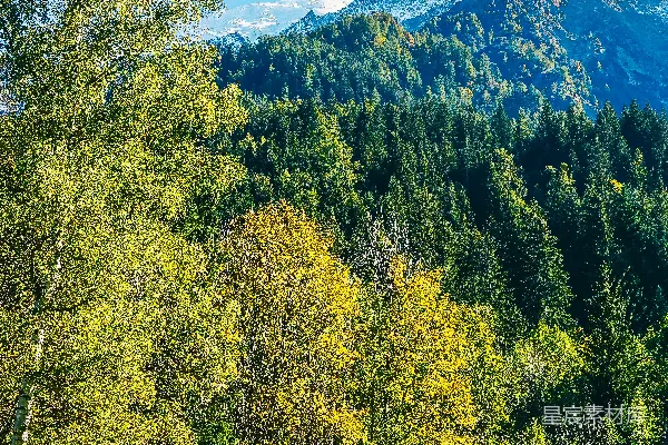 高清摄影 背景有树和山的草地上有一片草地。