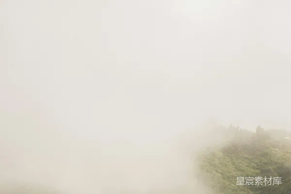 高清摄影 一片葱郁的山坡被雾和云笼罩着。
