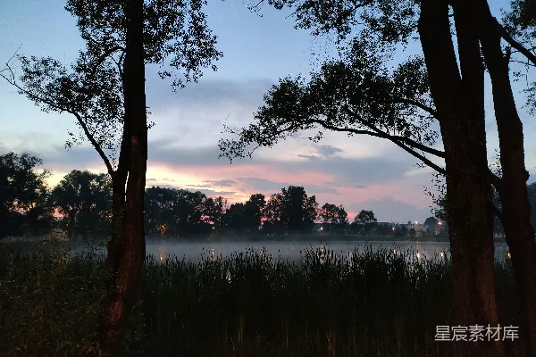 高清摄影 透过一些树木看去的湖景