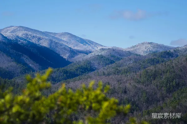 高清摄影 前景有树木的山峦景色