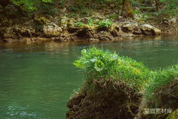 高清摄影 绿林中有蜿蜒的河流和苔藓岩石