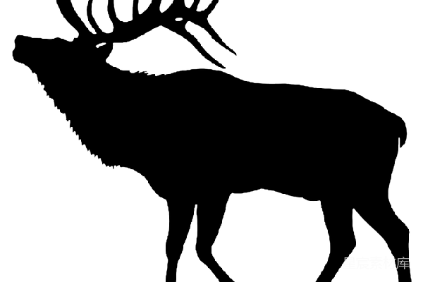元素素材 驼鹿