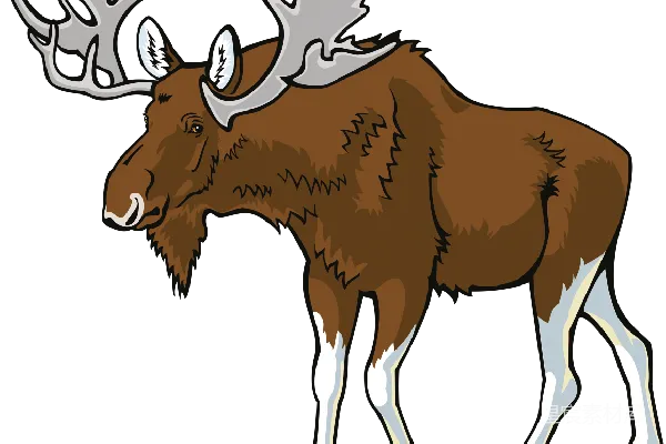 元素素材 Moose