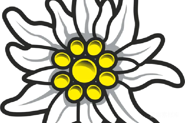 元素素材 PNG