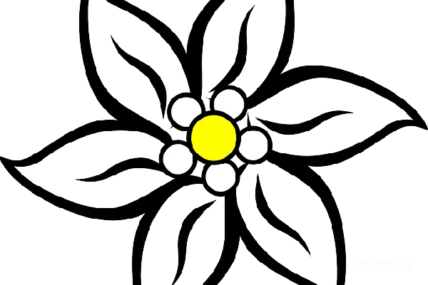 元素素材 雏菊