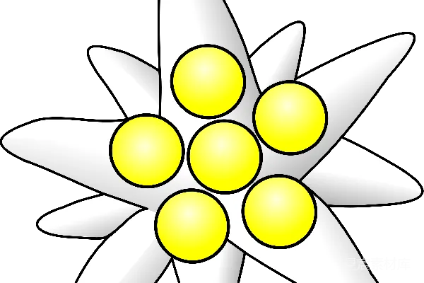 元素素材 雪绒花