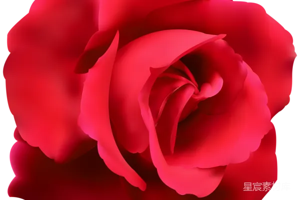 元素素材 罗茜