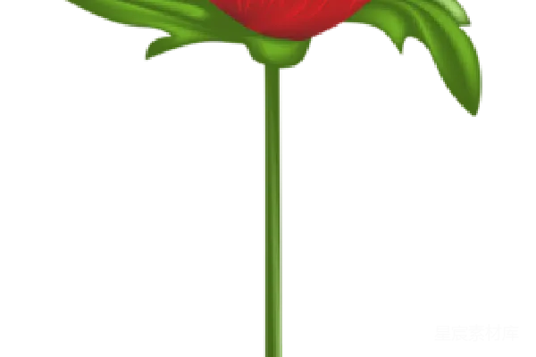 元素素材 红玫瑰花插