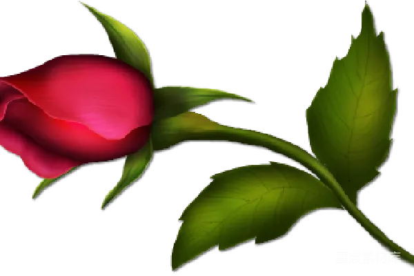 元素素材 罗茜