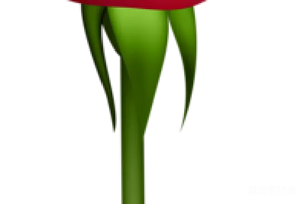 元素素材 罗莎