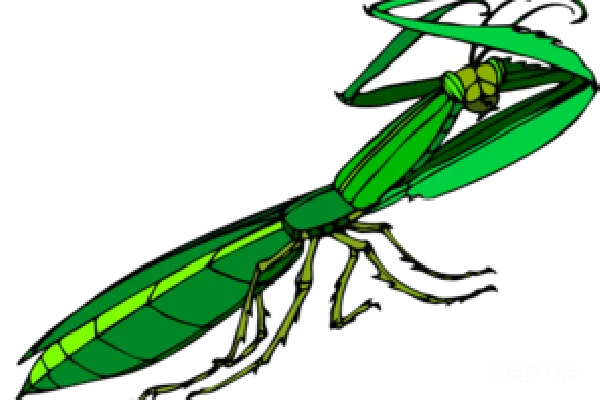 元素素材 PNG