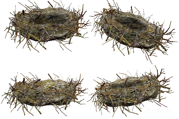 元素素材 巢