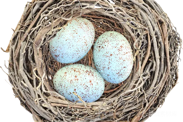 元素素材 Nest（宁静）