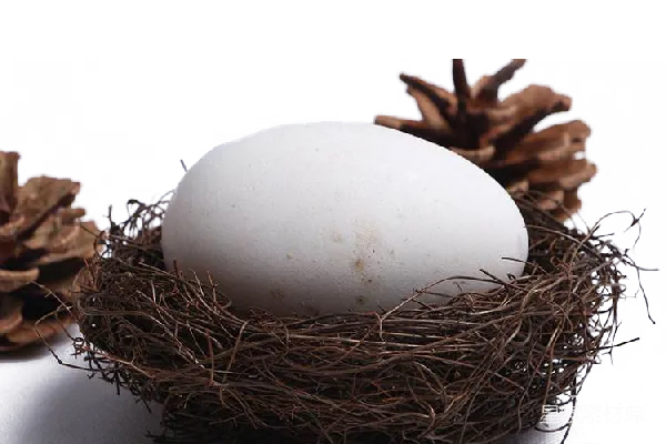 元素素材 nest