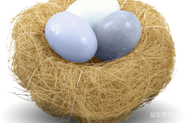 元素素材 Nest（巢）