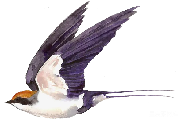 元素素材 吞