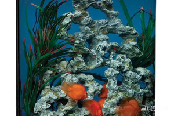 元素素材 小型水族箱中的热带鱼