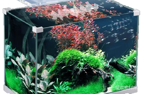 元素素材 水族馆