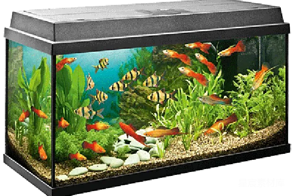 元素素材 水族馆