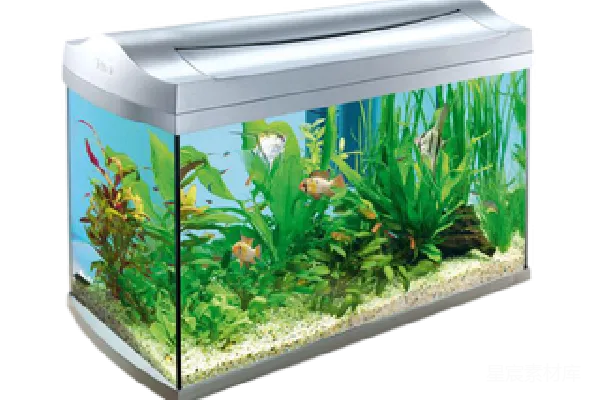 元素素材 水族馆
