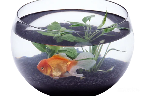 元素素材 水族馆