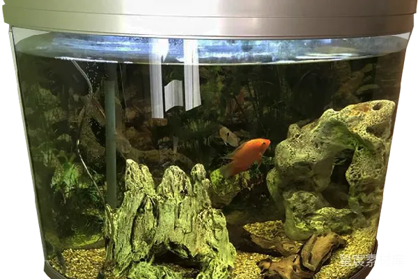 元素素材 水族馆