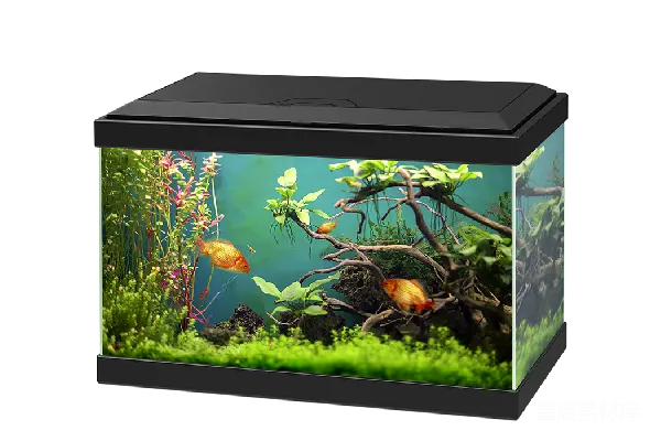 元素素材 水族馆