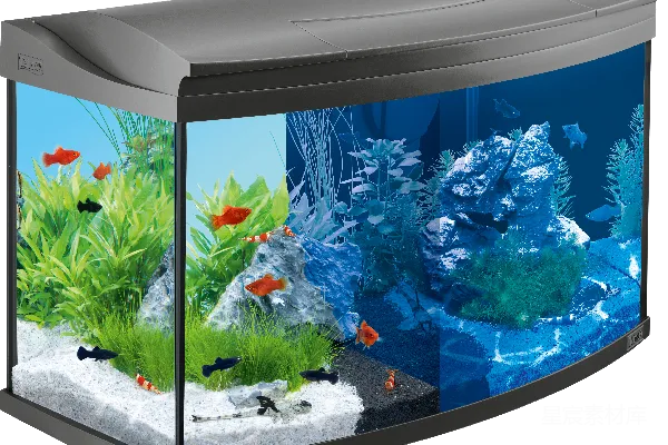 元素素材 水族馆