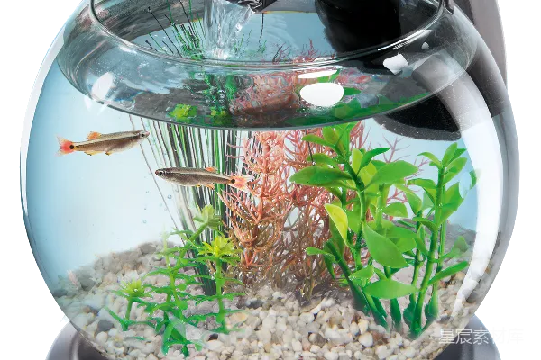 元素素材 水族馆