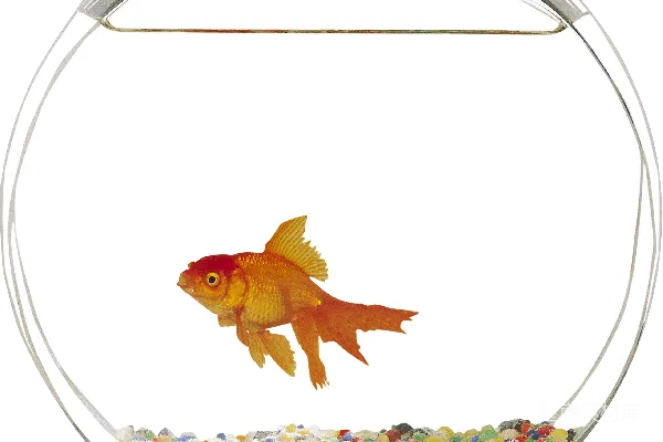 元素素材 水族馆