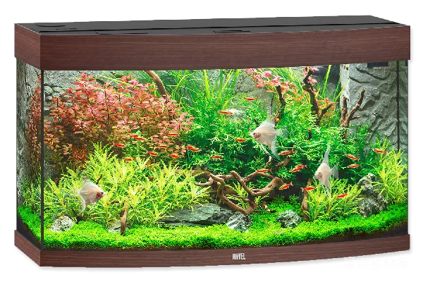 元素素材 水族馆