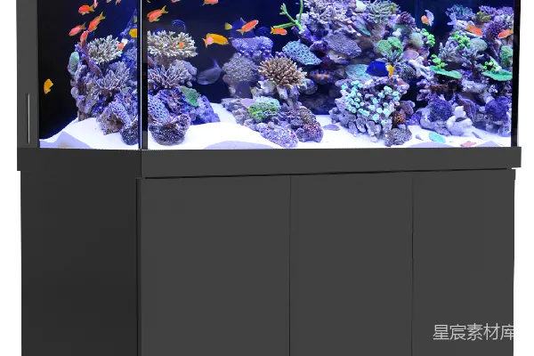 元素素材 水族馆