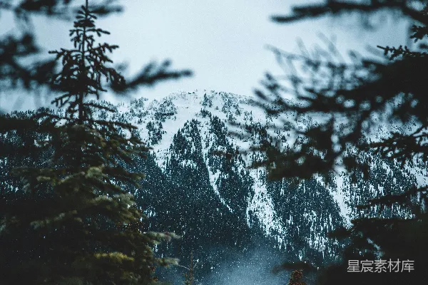 高清摄影 透过一些树木看的一处山景