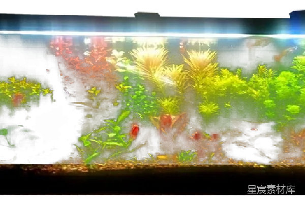 元素素材 水族馆