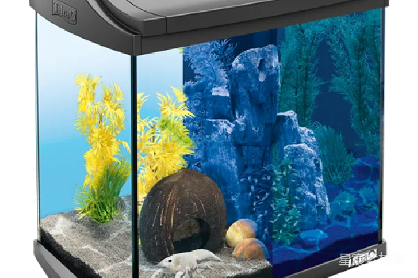 元素素材 水族馆