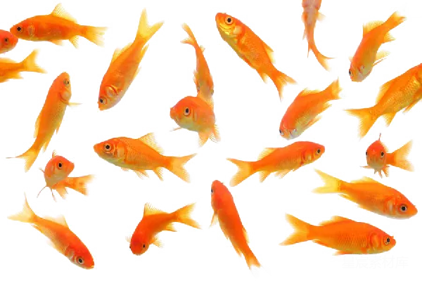 元素素材 透明