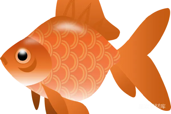 元素素材 金鱼