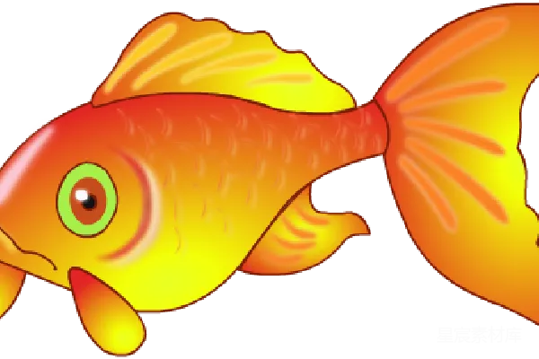 元素素材 卡通金鱼插画