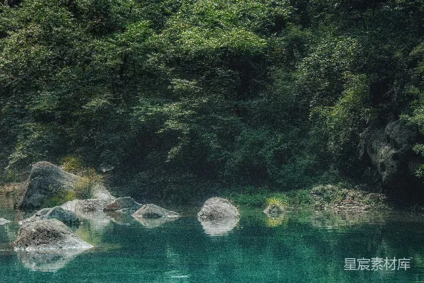 高清摄影 被茂密绿树环绕的水域