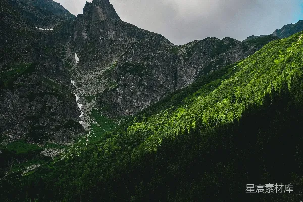高清摄影 山下有林的一角风景