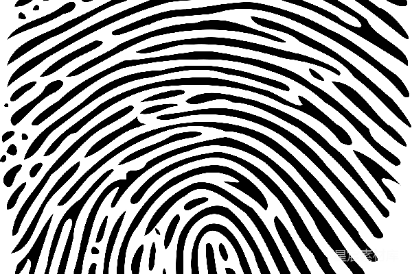 元素素材 指纹