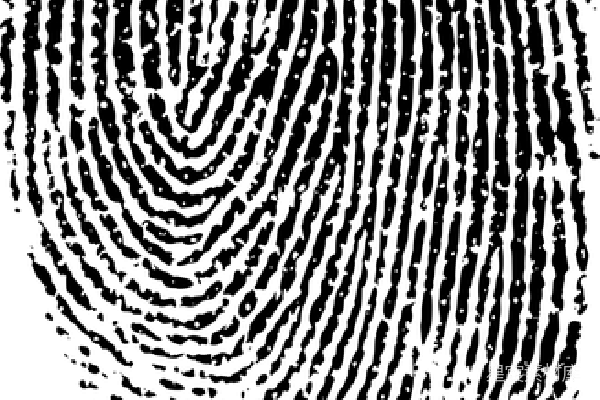 元素素材 指纹